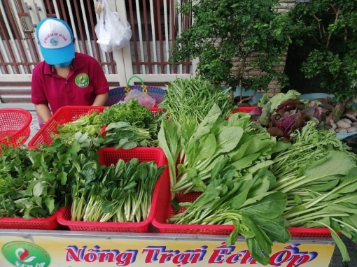Người trẻ khởi nghiệp: Hơn cả đam mê!