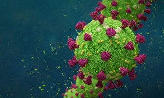Tình báo Mỹ ra kết luận về nguồn gốc của virus SARS-CoV-2