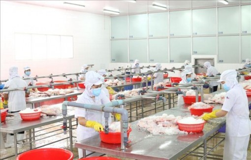 Tháo gỡ thủ tục hành chính cho doanh nghiệp nông nghiệp