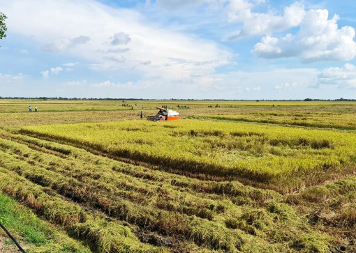 An Giang tập trung phát triển nông nghiệp