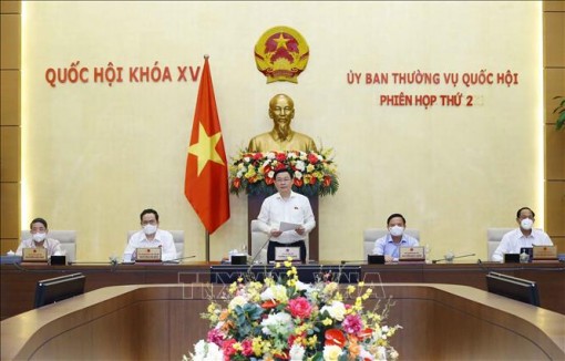 Chủ động, kỹ lưỡng để có những dự thảo luật chất lượng