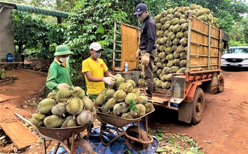 Kết nối thị trường để tiêu thụ nông sản