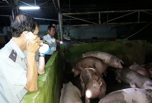 An Giang chỉ đạo phòng, chống dịch bệnh động vật trong bối cảnh dịch bệnh COVID-19