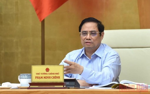 Quyết tâm chống khai thác hải sản bất hợp pháp, gỡ "thẻ vàng"