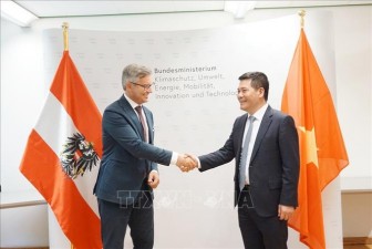 Việt Nam và Cộng hòa Áo hướng tới hợp tác về năng lượng tái tạo
