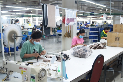 Thoại Sơn bảo vệ “vùng xanh”, xanh hóa “vùng vàng”