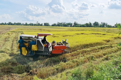 Phát huy vai trò Tổ phản ứng nhanh nông nghiệp