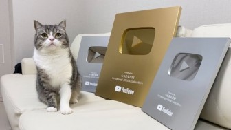 Chú mèo Nhật Bản lập kỷ lục 'đạt nút vàng' Youtube