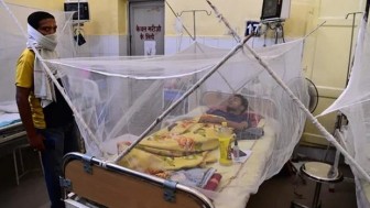 Ấn Độ: Hàng chục người tử vong nghi do dịch sốt xuất huyết bùng phát