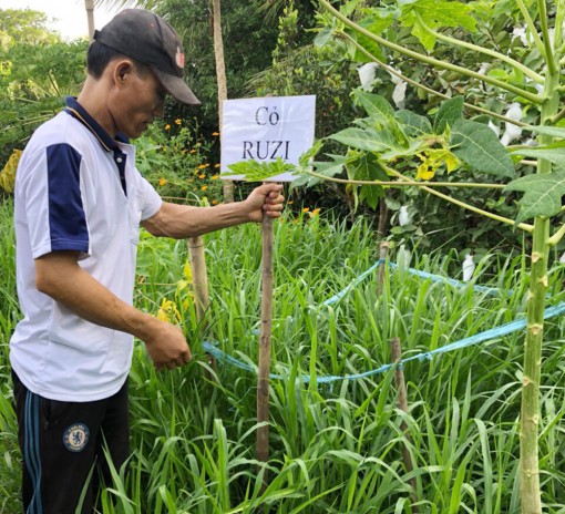 Khuyến nông - Bệ đỡ giúp nhà nông phát triển sản xuất