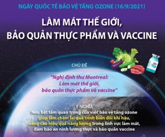 Ngày Quốc tế bảo vệ tầng ozone: Làm mát thế giới, bảo quản thực phẩm