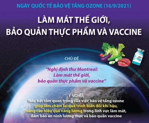 Ngày Quốc tế bảo vệ tầng ozone: Làm mát thế giới, bảo quản thực phẩm