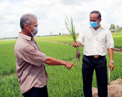 Xã Lê Chánh đầu tư cho nông nghiệp, nông thôn