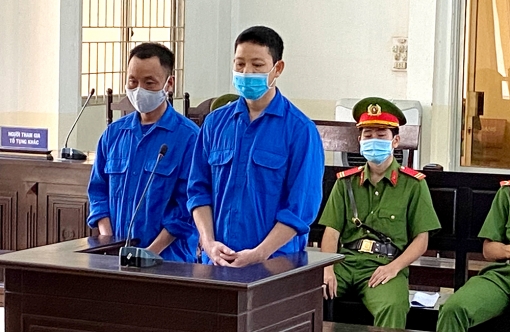 Cấu kết đưa người qua biên giới trái phép