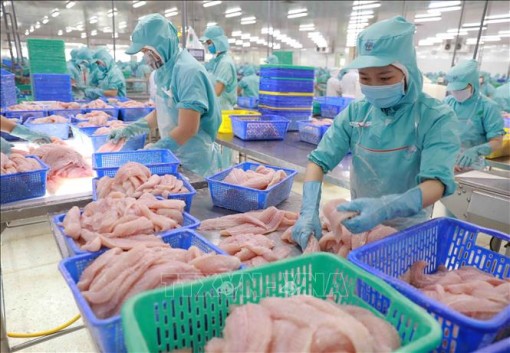 ‘Cứu’ chuỗi cung ứng hàng hóa đứt gãy giữa COVID-19