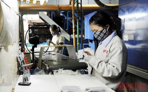Chậm mở cửa, Việt Nam sẽ bỏ lỡ cơ hội đầu tư