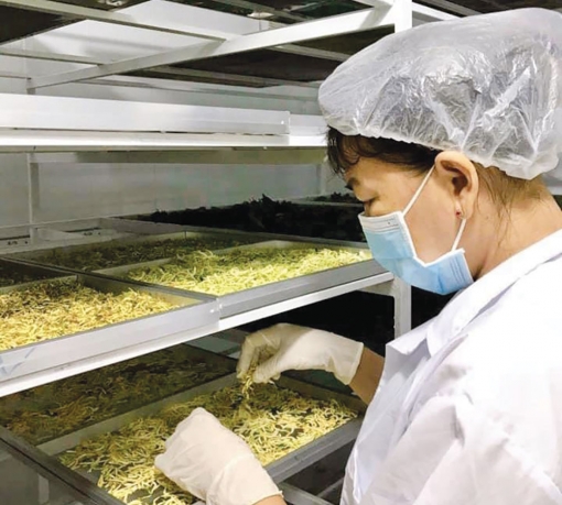 Nắm bắt thời cơ kinh doanh mùa dịch