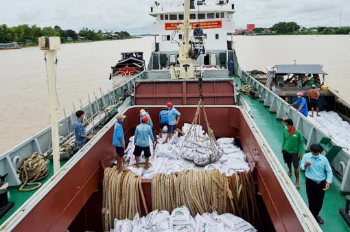 Sản xuất - kinh doanh thích ứng với dịch bệnh