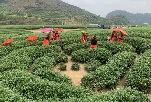 Vai trò của du lịch trong phục hồi toàn diện