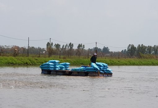 Thống nhất và tạo thuận lợi cho từng khâu trong chuỗi cá tra