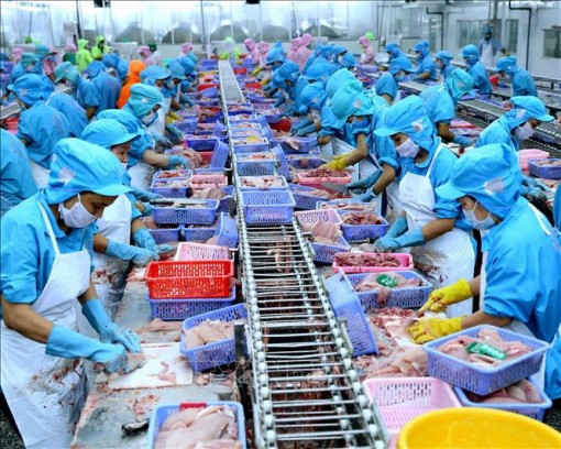 Nếu dịch kiểm soát tốt, năm 2021 có thể giữ được đà xuất siêu