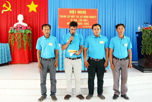 10 năm triển khai Luật Hợp tác xã năm 2012
