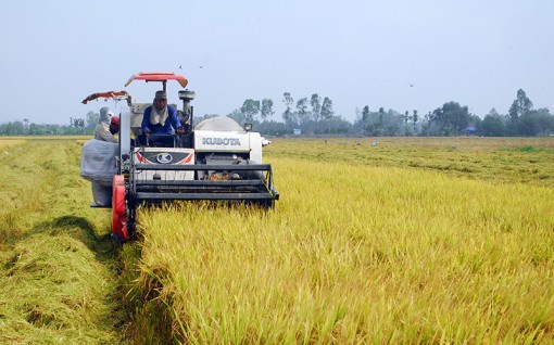 Nguy cơ hạn, mặn trong vụ đông xuân 2021 - 2022 ở khu vực Nam Bộ