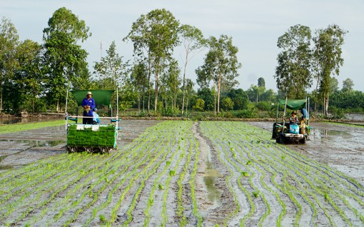 Châu thổ Cửu Long hướng đến nền nông nghiệp xanh