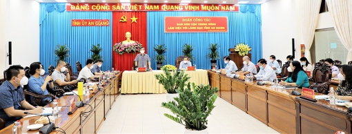 Phó Trưởng ban Dân vận Trung ương làm việc với tỉnh An Giang về công tác phòng, chống dịch COVID-19