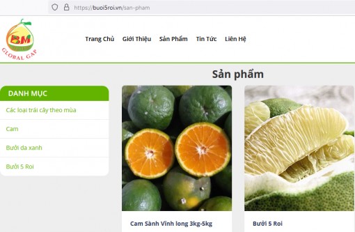 Nông sản Vĩnh Long lên sàn thương mại điện tử với tên miền '.vn'