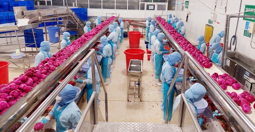 Mở cửa, phục hồi nền kinh tế, nhưng phải đảm bảo an toàn