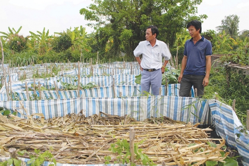 Hỗ trợ thoát nghèo cần thiết thực hơn