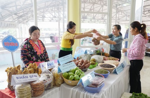 Phụ nữ Việt Nam phát huy năng lực, sức sáng tạo để khởi nghiệp, phát triển