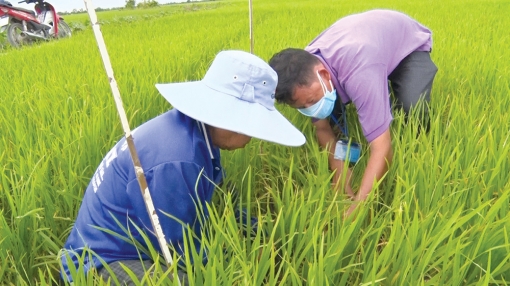 Hướng đến sản xuất sạch, bền vững
