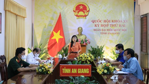 Thảo luận dự án luật về tố tụng hình sự và thống kê