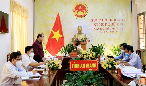 Đoàn đại biểu Quốc hội An Giang thảo luận về kinh tế - xã hội và phòng, chống dịch COVID-19
