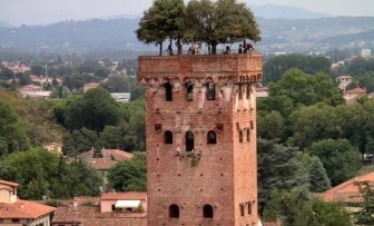 Độc đáo tháp cổ gần 700 năm tuổi, mọc cây trên đỉnh