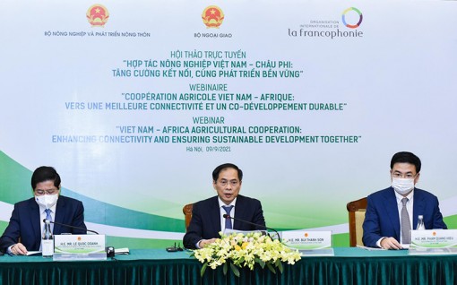 Việt Nam đóng góp có trách nhiệm vì hòa bình và an ninh toàn cầu