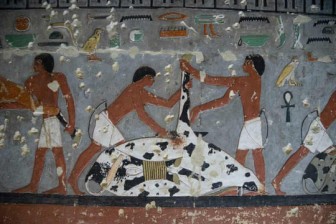 Khám nghiệm xác ướp 3.700 năm: lịch sử bị đảo lộn