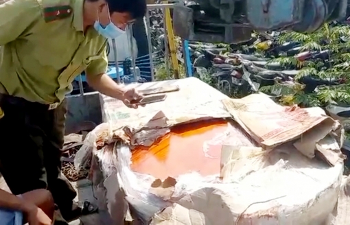 An Giang: Bắt quả tang xe tải chở lâm sản trái pháp luật