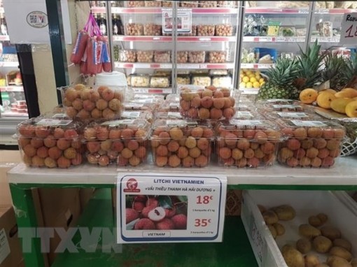 Đưa quan hệ thương mại giữa Việt Nam và Pháp lên tầm cao mới
