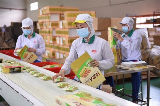 Công nhân trở lại TP.HCM làm việc, nhiều doanh nghiệp tăng ca chạy đơn hàng Tết