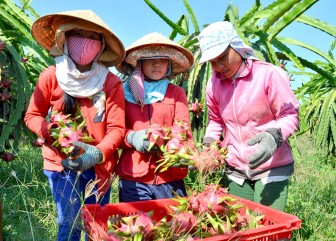 Mỹ, Trung Quốc, Nhật Bản mua lượng khổng lồ, giá 5 loại nông sản này tăng vọt