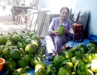 Phụ nữ Thoại Sơn khởi sự kinh doanh thành công
