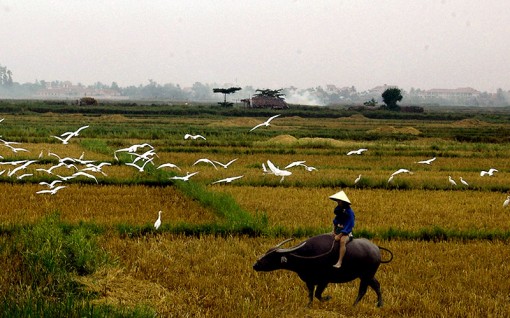 Vẻ đẹp ở ngay trong cuộc sống