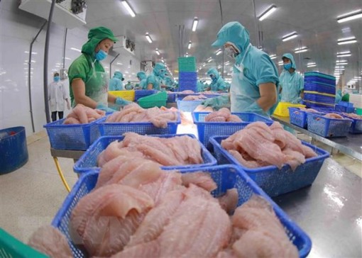 Xuất khẩu thủy sản về trạng thái bình thường mới, có tín hiệu hồi phục