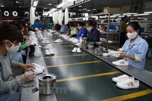 Lực đẩy cho các doanh nghiệp từ các Hiệp định thương mại tự do
