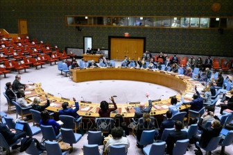 Việt Nam kêu gọi thực hiện đầy đủ nghĩa vụ của luật nhân đạo quốc tế tại Ethiopia