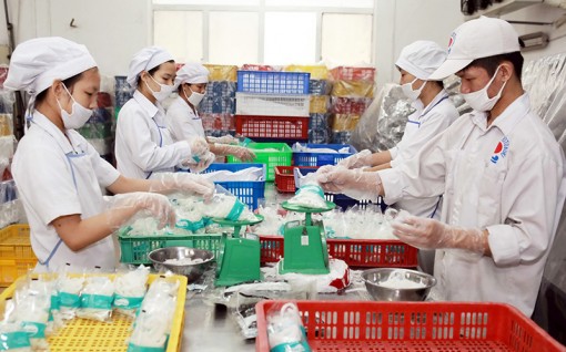 Bảo đảm nguồn hàng phục vụ thị trường Tết Nguyên đán
