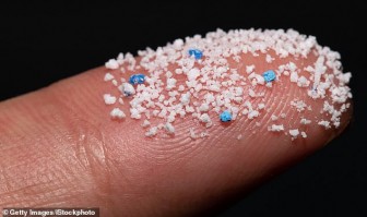 Con người tiếp xúc 24.000 hạt vi nhựa ngay tại phòng khách nhà mình
